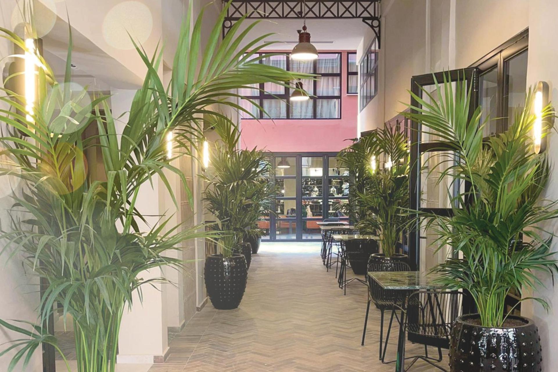Anise, Aluma Hotels & Resorts Ateny Zewnętrze zdjęcie